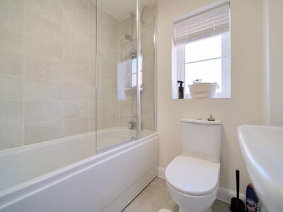Picture 14